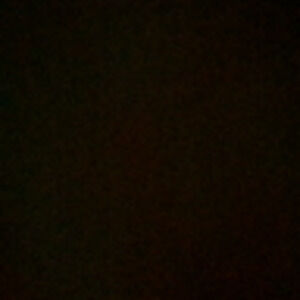 Meet your Posher, Ava